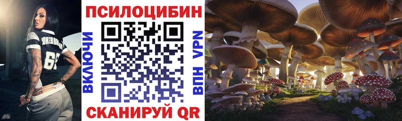 цена наркотик  mega ТОР  Галлюциногенные грибы ЛСД  Туапсе 